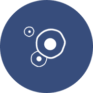 原核表達(dá)系統(tǒng)案例展示