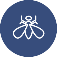 昆蟲(chóng)系統(tǒng)蛋白表達(dá)服務(wù)案例