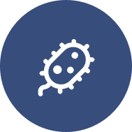 噬菌體抗體庫(kù)篩選