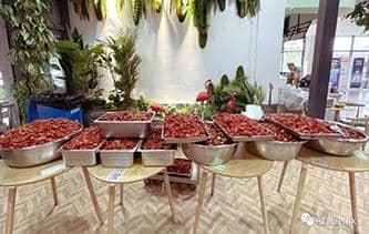 快樂工作，開心生活——普健生物第三屆龍蝦節(jié)圓滿結(jié)束