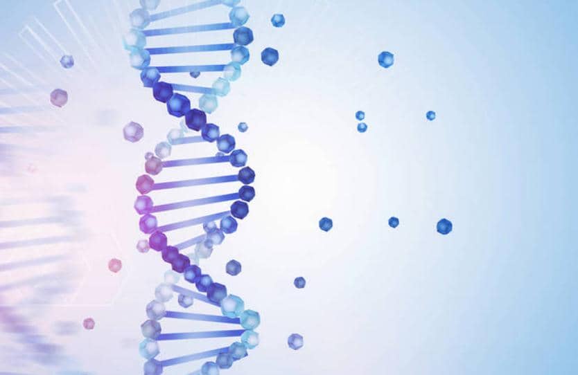 有產(chǎn)品|工具酶哪家好？用過(guò)才知道