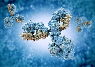 抗體純化過(guò)程中能有效提升效率的幾個(gè)方式