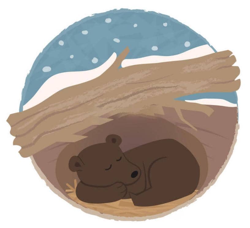 Cell▏來(lái)自冬眠的冷適應(yīng)啟示