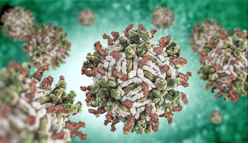 特色產(chǎn)品集錦|6大板塊，樣樣經(jīng)典