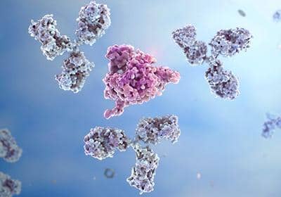 盤(pán)點(diǎn)抗體篩選中的一些常用方法