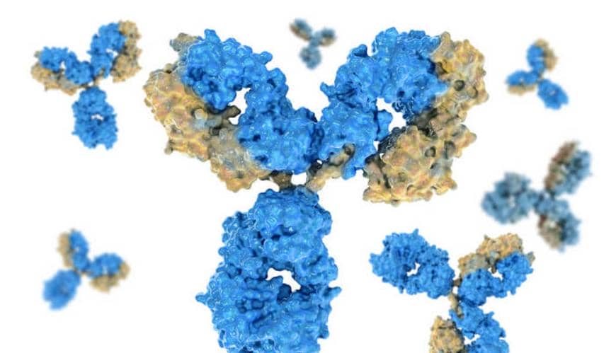 雙特異抗體最全設計方案匯總