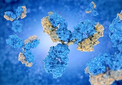 什么是內參抗體?如何挑選合適的內參抗體?