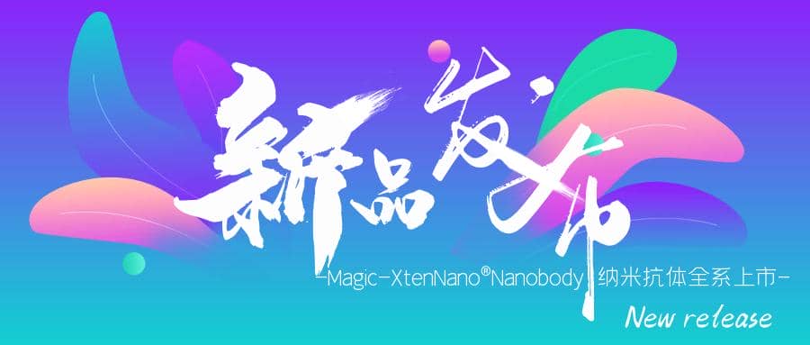新品發(fā)布|Magic-XtenNano®Nanobody納米抗體全系上市