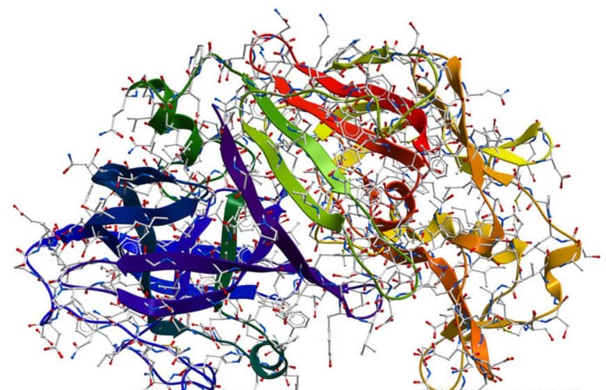 蛋白純不純？選對方法很重要