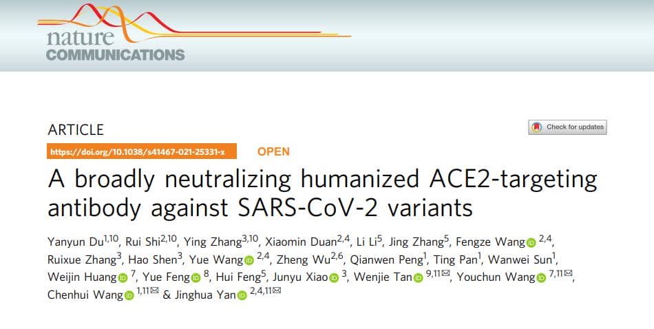 新型人源化抗體h11B11抗新冠病毒的作用機(jī)制