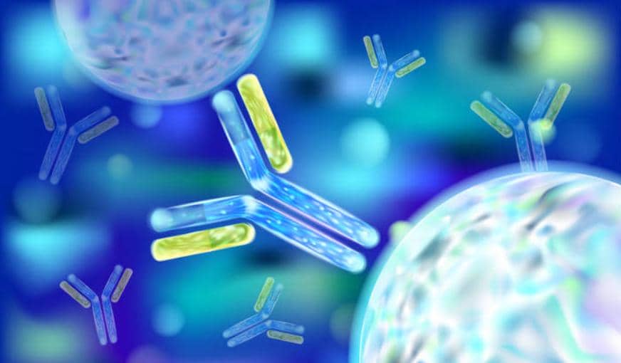 一個完整的抗體發現平臺需要用到哪些技術？