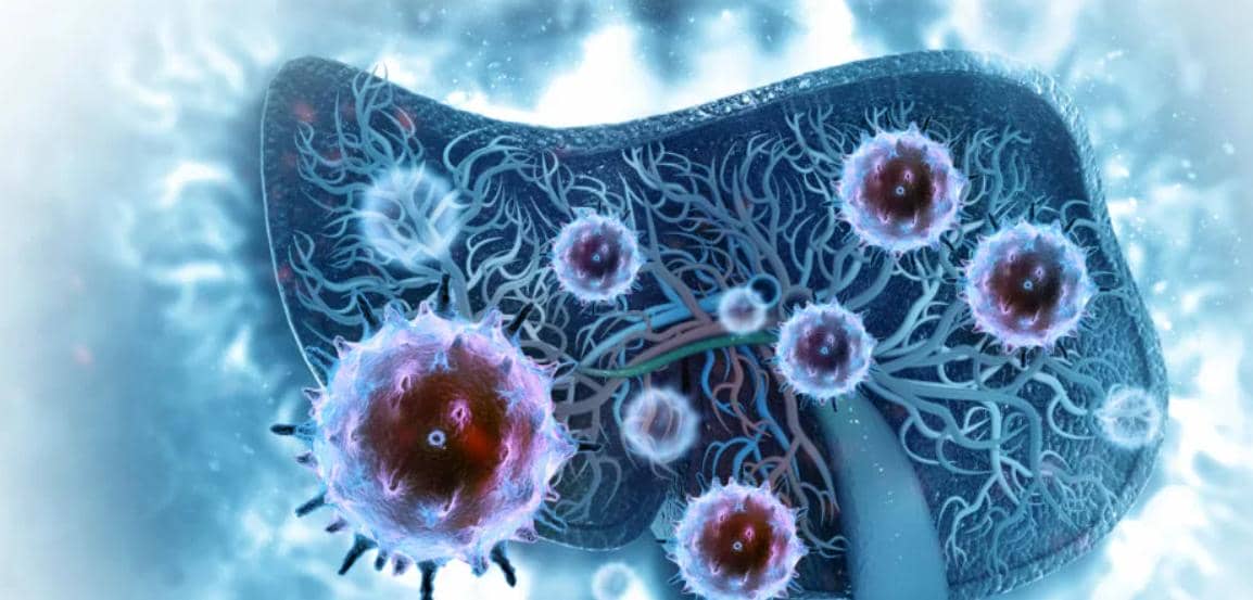 【穩(wěn)定細(xì)胞株構(gòu)建】11個(gè)注意事項(xiàng)幫你搞定細(xì)胞轉(zhuǎn)染