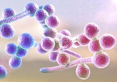 什么是細(xì)胞轉(zhuǎn)染技術(shù)?盤點(diǎn)細(xì)胞轉(zhuǎn)染的原理及其的特點(diǎn)