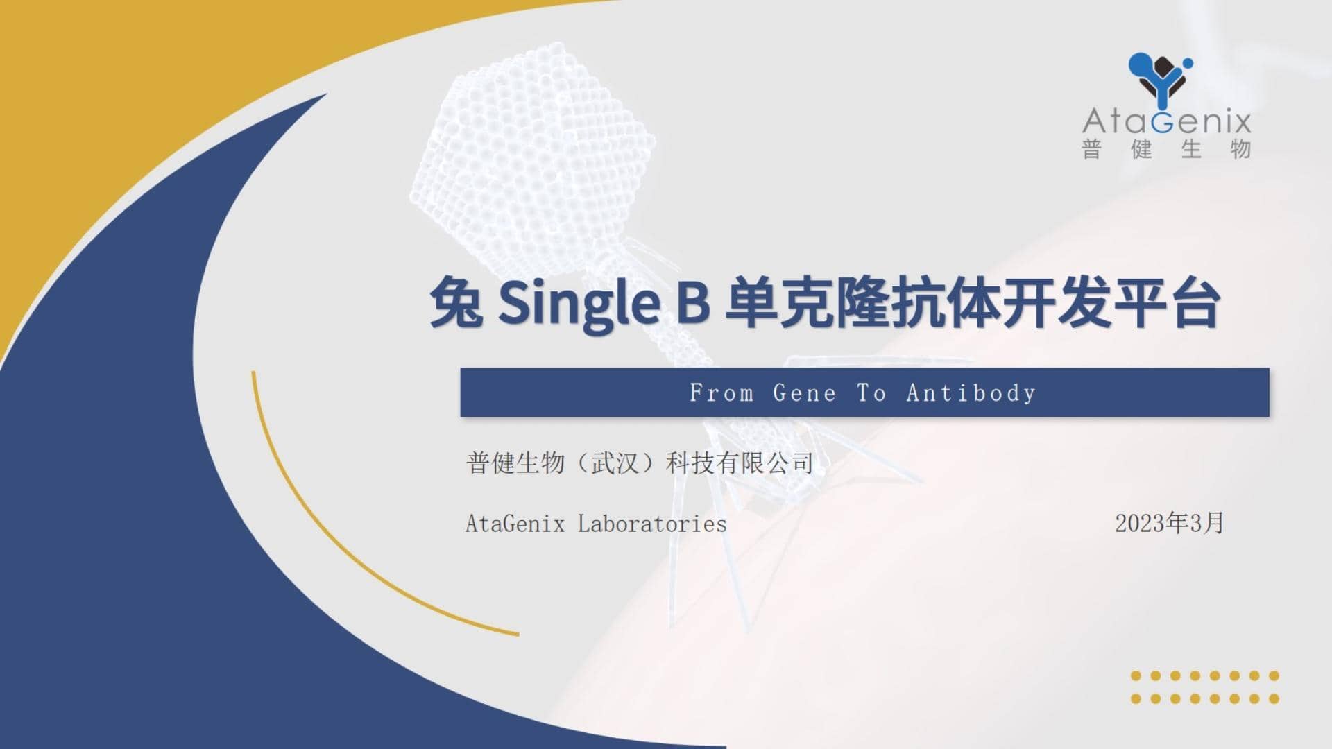兔穎而出——Single B兔單克隆抗體開發技術分享