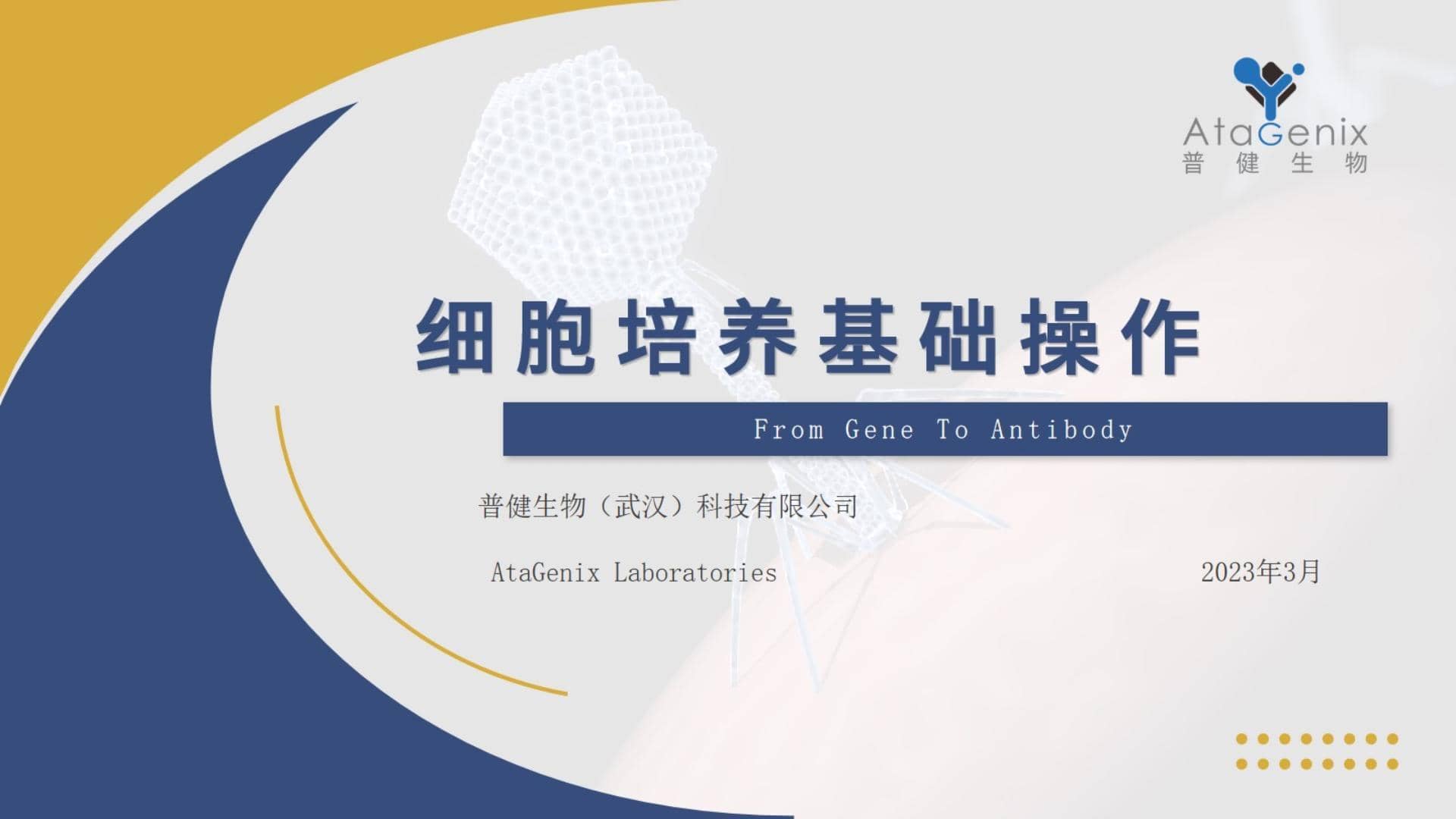 基礎試驗操作篇——細胞培養