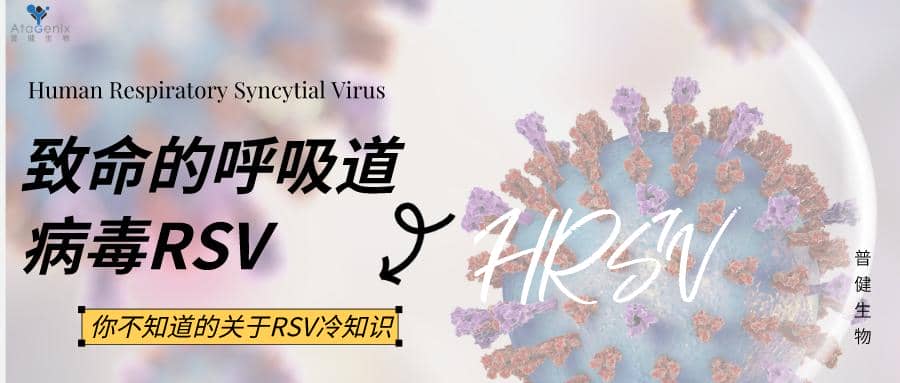 數十年研發幾經折戟，首款成熟的RSV疫苗要來了嗎？