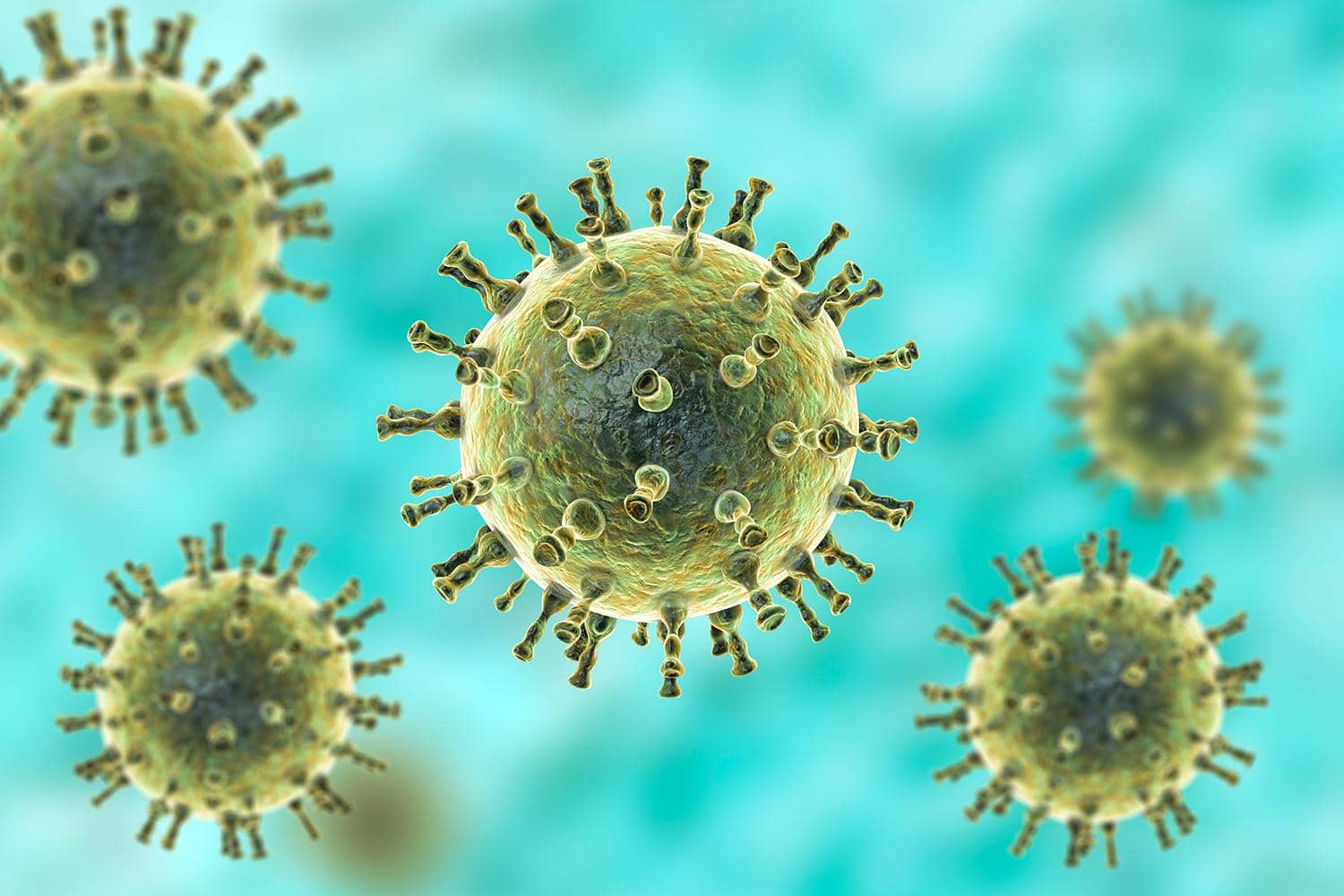 引發百億市場爭奪戰的帶狀皰疹病毒（VZV）到底是何方神圣？