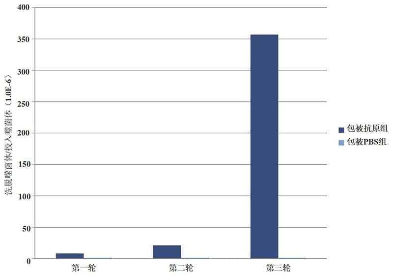 多克隆ELISA驗(yàn)證