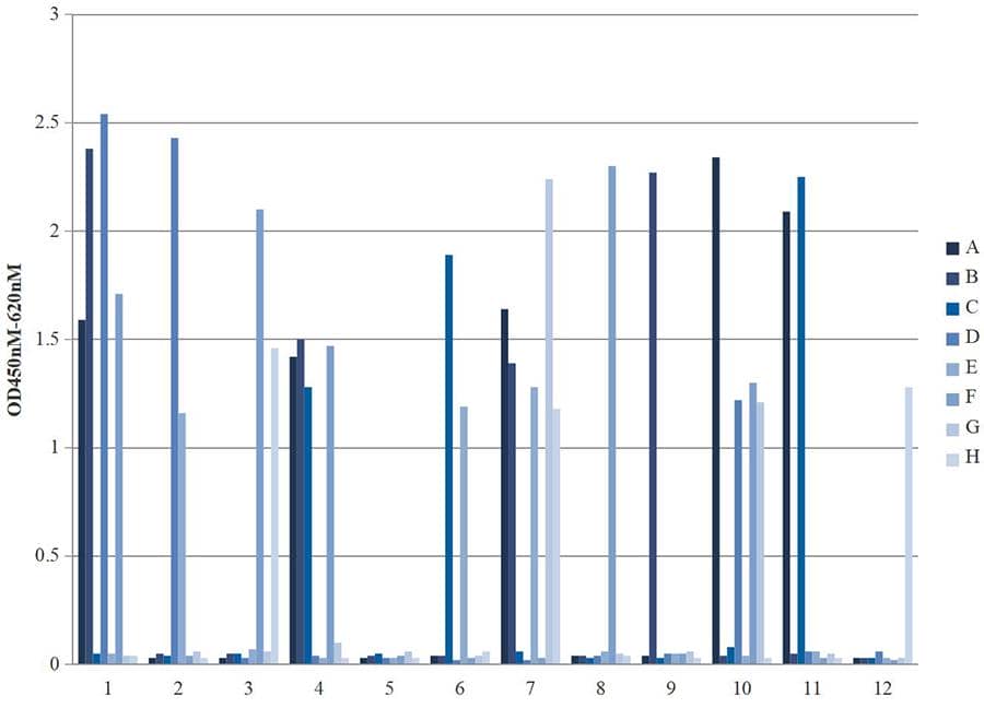 單克隆ELISA驗(yàn)證