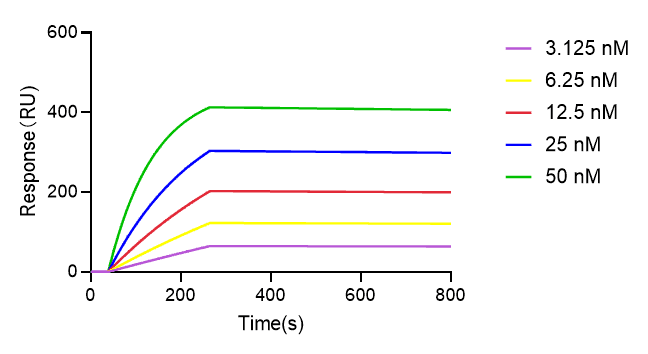 重組納米抗體與抗原親和力測定