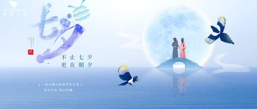 科研人CP指南|誰是你的科研搭子？？