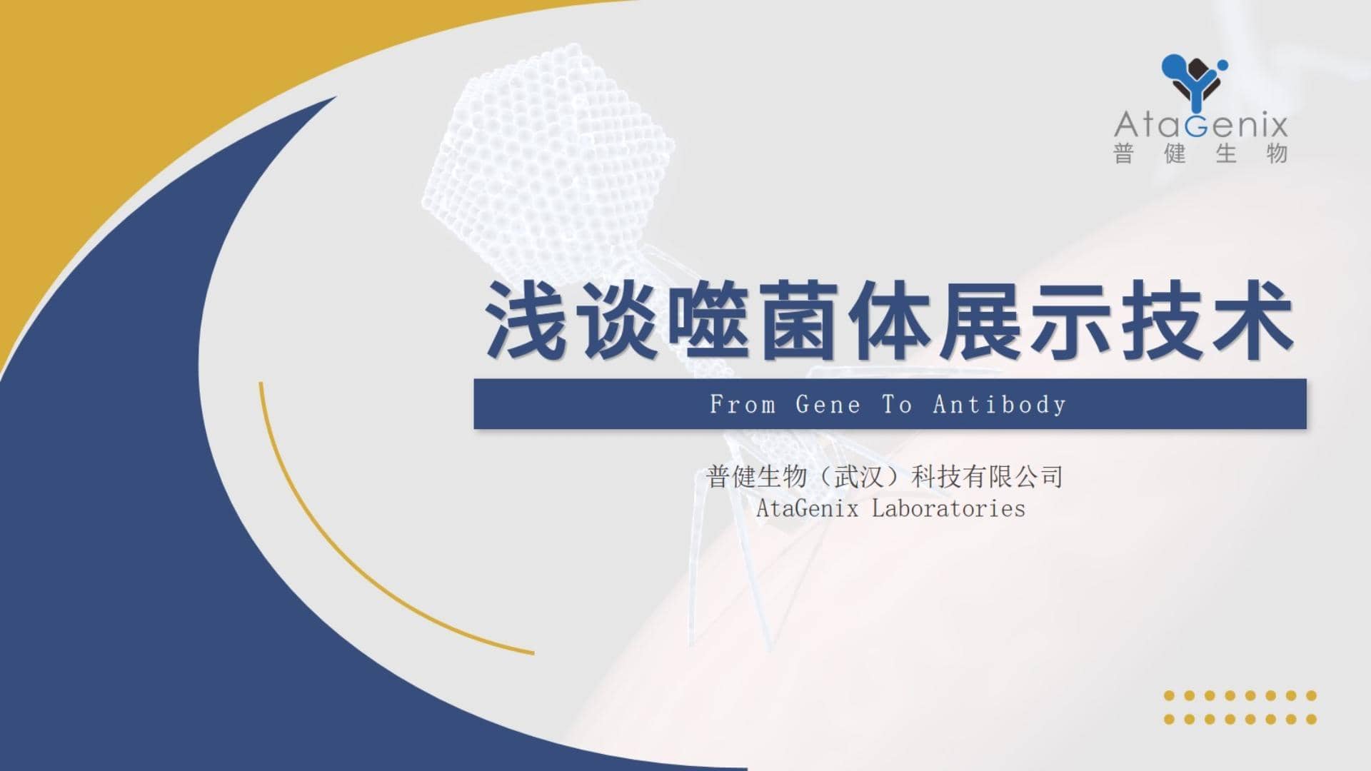 【一篇搞定】噬菌體展示技術(shù)與噬菌體展示抗體發(fā)現(xiàn)平臺(tái)