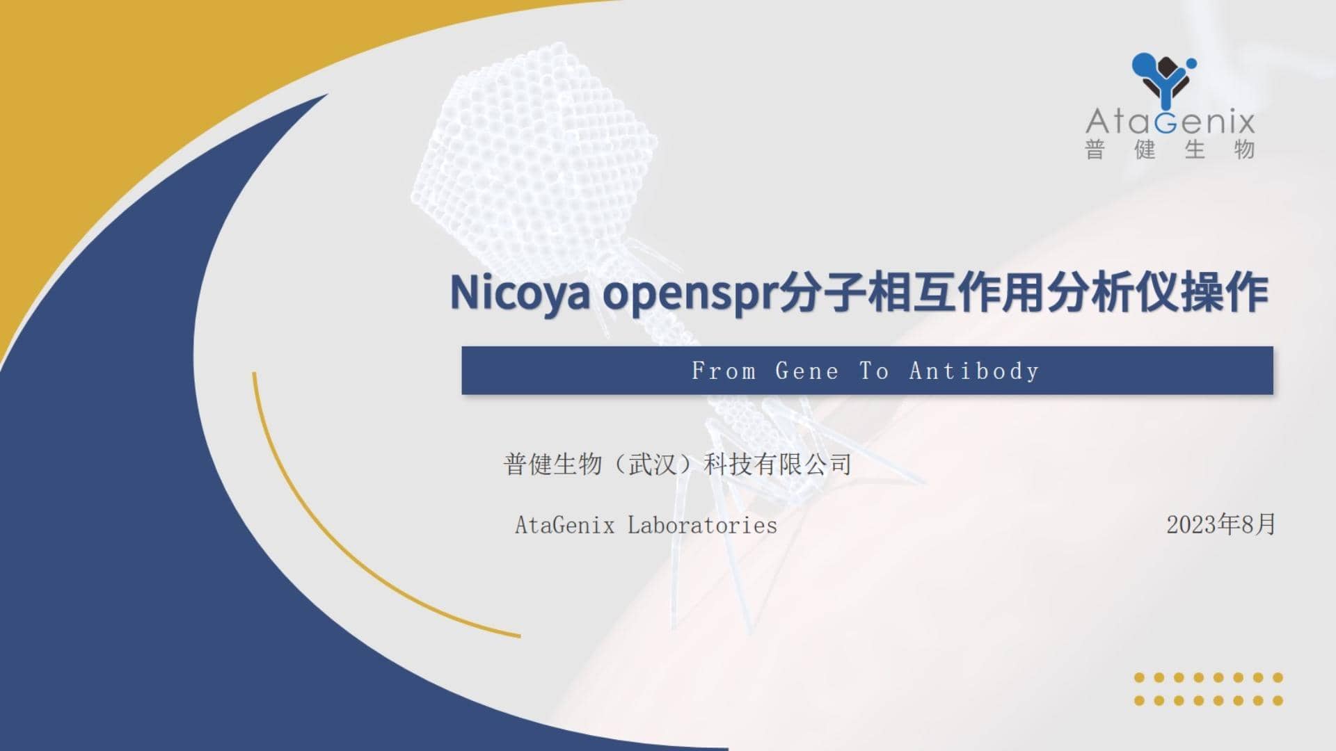 基礎(chǔ)試驗(yàn)操作篇——SPR親和力測(cè)定