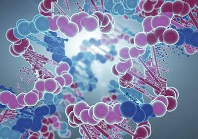 多肽合成服務的原理及制備流程-普健生物