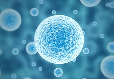 一文詳細了解單B細胞抗體制備技術